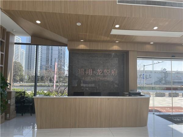 美大集团联合开发 总代公司上海嘉戴房地产营销策划